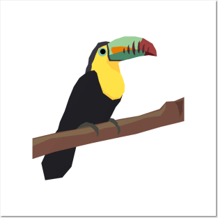 Toucan Posters and Art